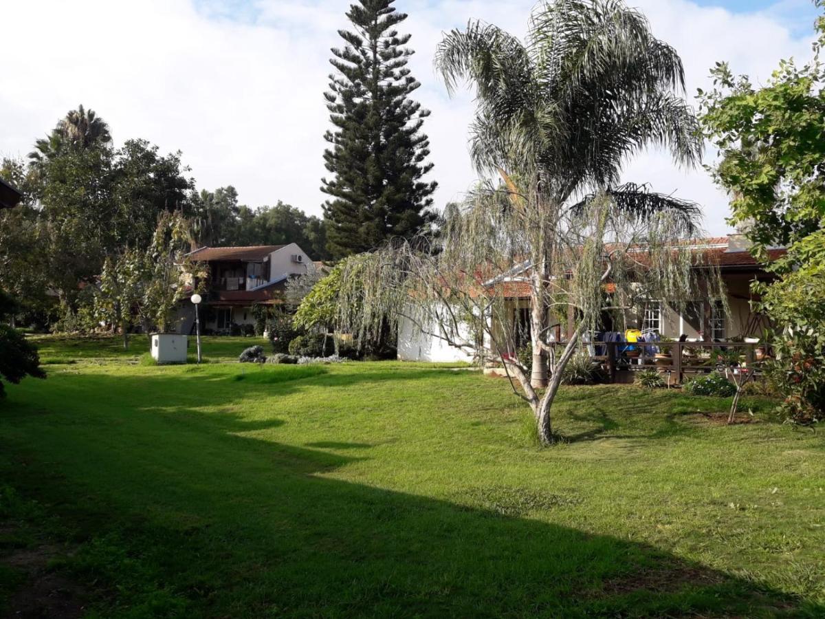 Kibbutz Hatzor A Room Close To Ashdod Hatzor Ashdod Exterior foto