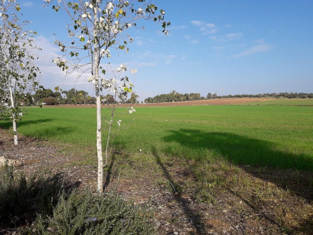 Kibbutz Hatzor A Room Close To Ashdod Hatzor Ashdod Exterior foto